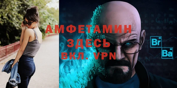 индика Новозыбков